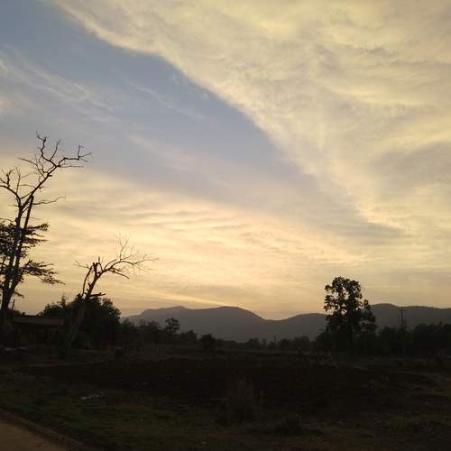 Photo #12828898