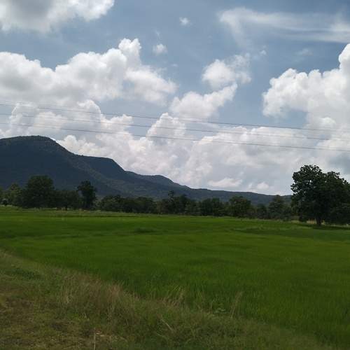 Photo #12828935