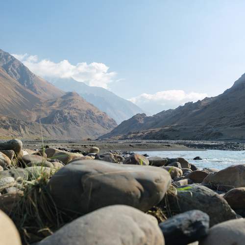 Photo #12829030