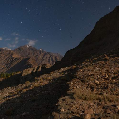 Photo #12829055