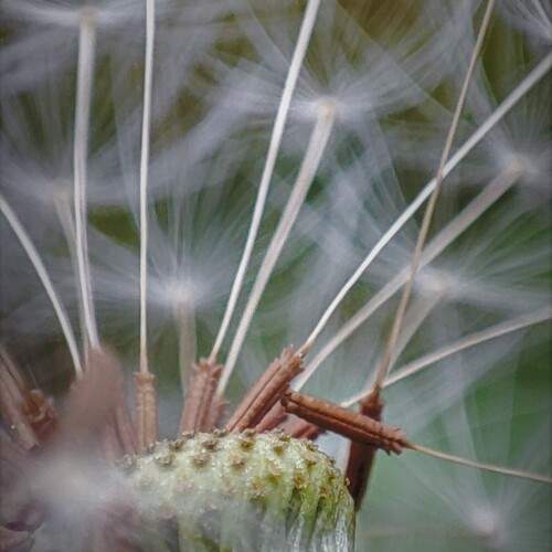 Photo #12829116