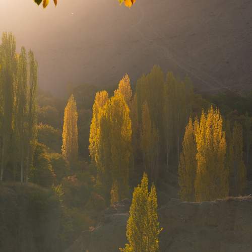 Photo #12829259