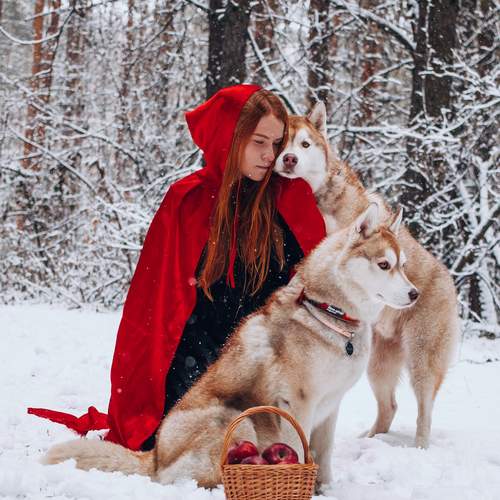 Photo #12829599