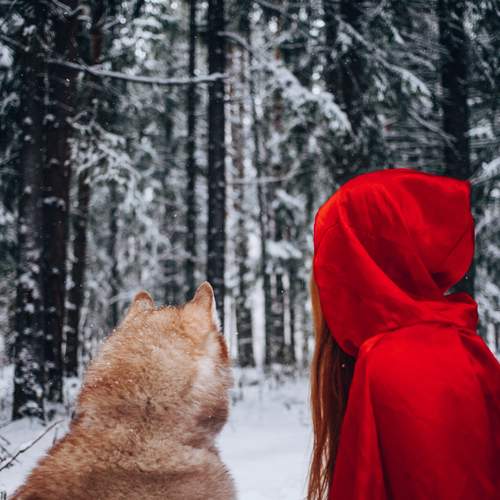 Photo #12829601