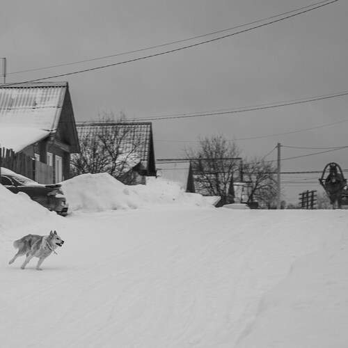 Photo #12829670