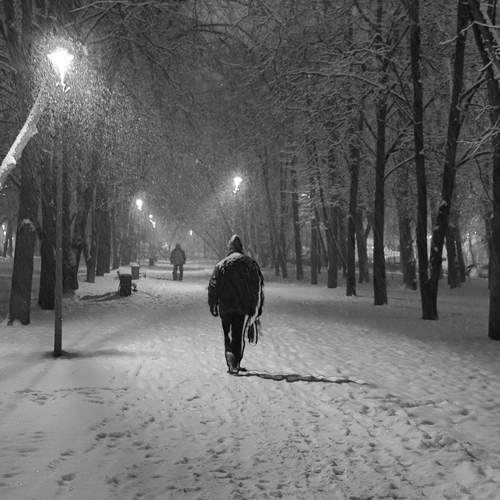 Photo #12829719