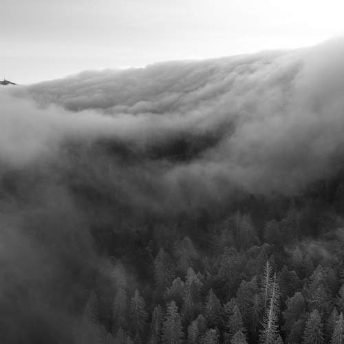 Photo #12829746