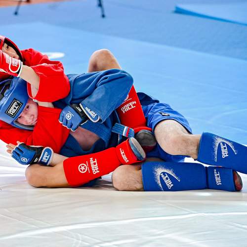 Photo #12829841