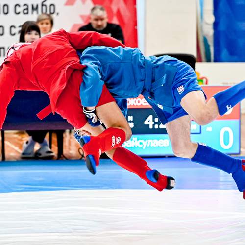 Photo #12829843