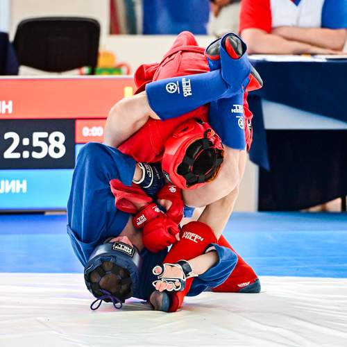 Photo #12829846