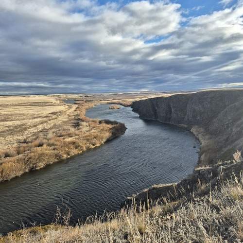 Photo #12829894