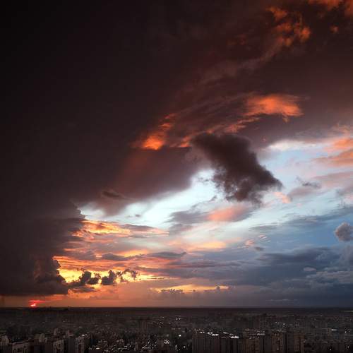 Photo #12830610