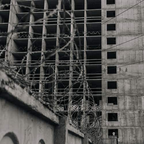 Photo #12830711