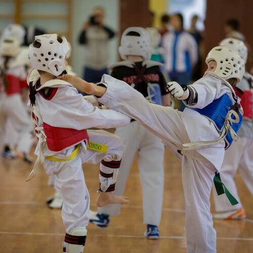 Photo #12830780