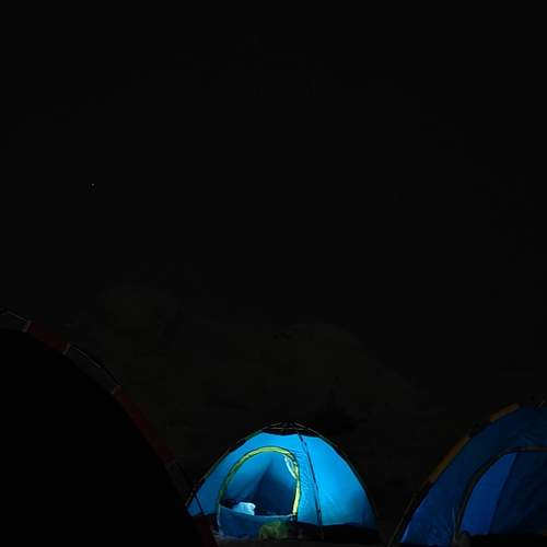 Photo #12830956