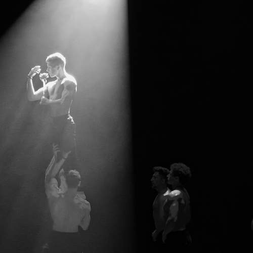 Photo #12831183