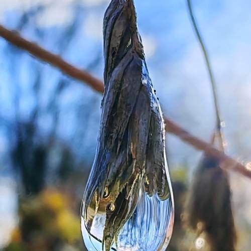 Photo #12831218