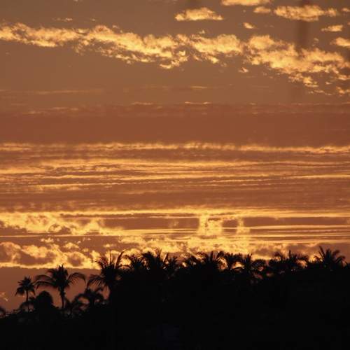 Photo #12831590