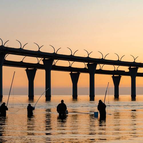 Photo #12831766