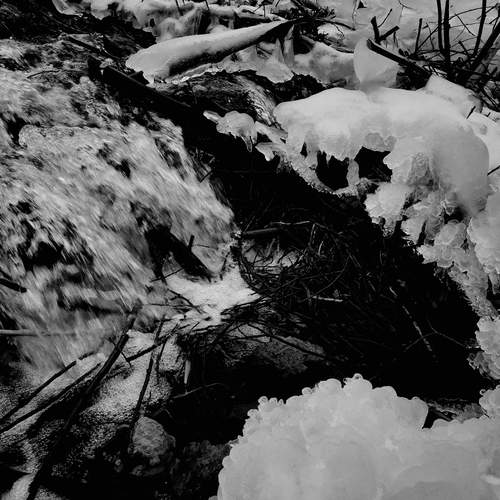 Photo #12831819