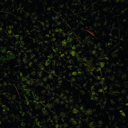 Photo #12831994