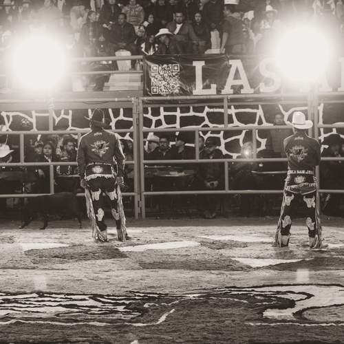 Photo #12832078