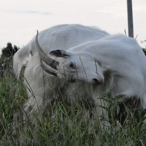 Photo #12832196