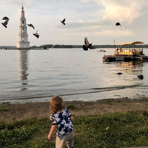 Photo #12832335