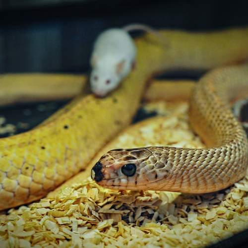 Photo #12832539