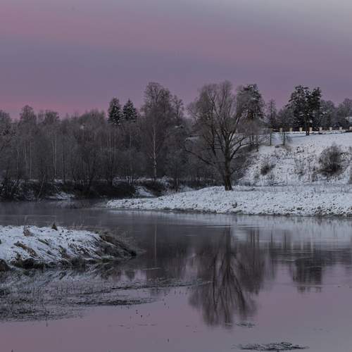 Photo #12832599