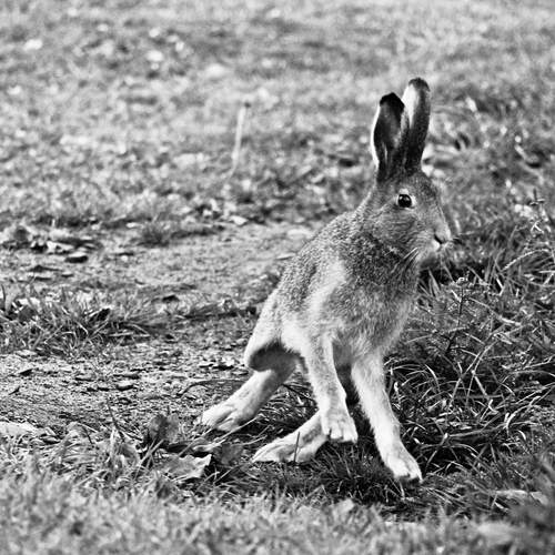 Фотография #12832722