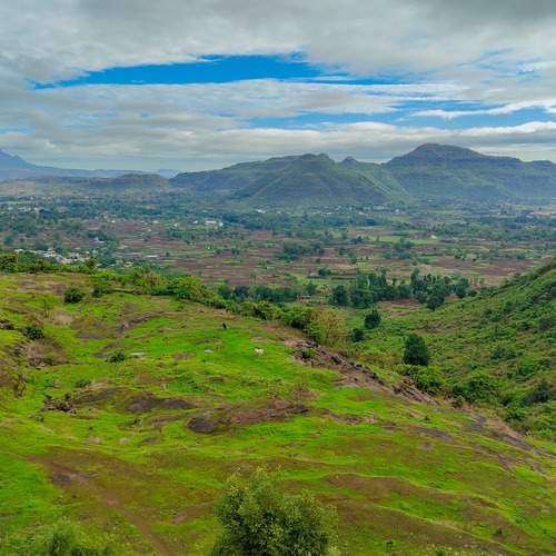 Monsoon Greens