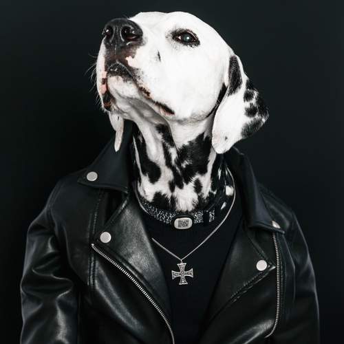 Фотография #12832822