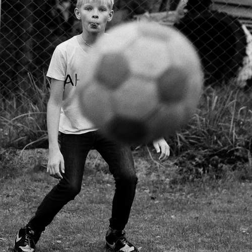 Photo #12832847
