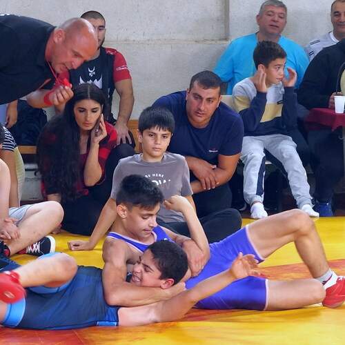 Photo #12832858