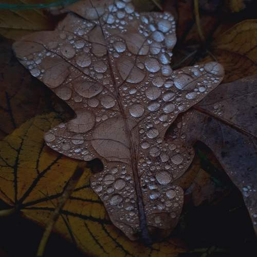 Photo #12832861