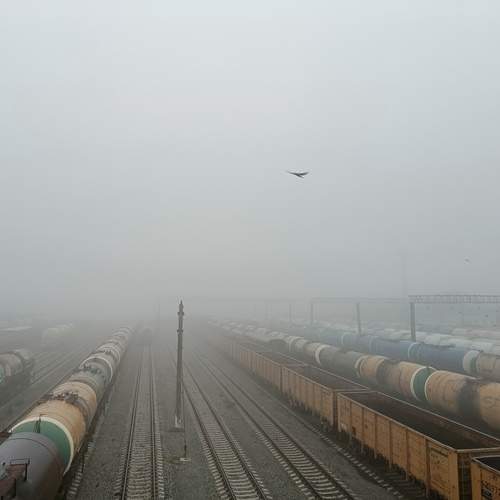 Photo #12832940