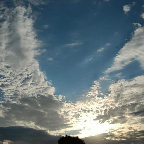 Photo #12832941