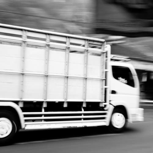 speed