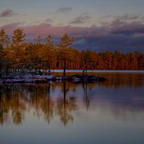 Photo #12833236