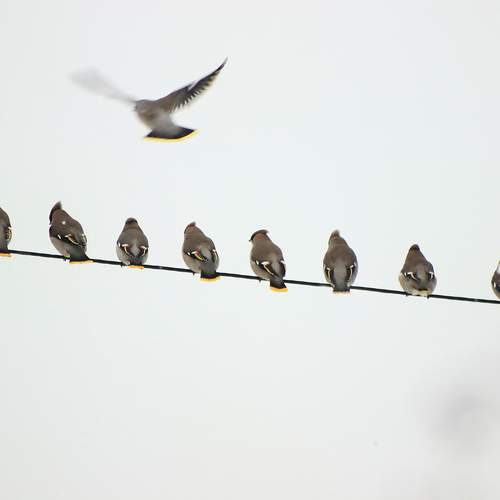 Photo #12833255