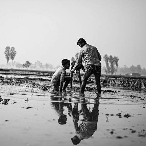 Finding Happiness in Cultivation