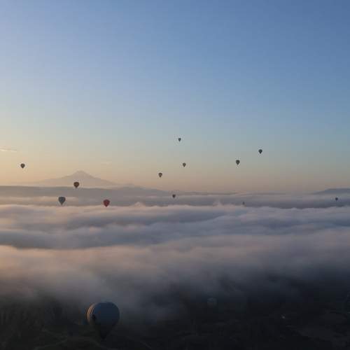Photo #12833855