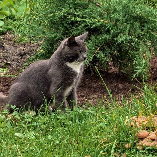 Photo #12833929