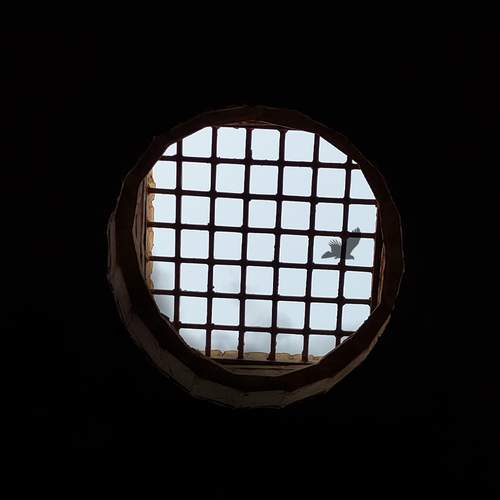 Photo #12834051