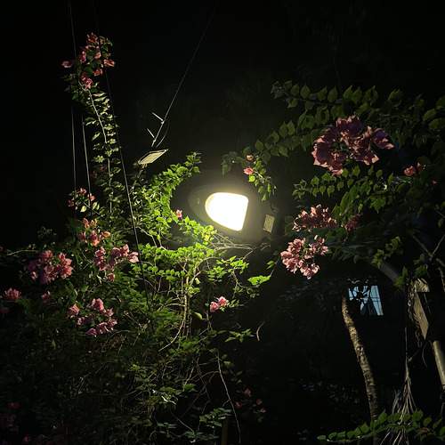 Midnight Luminescence