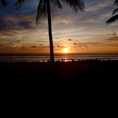 Photo #12834263