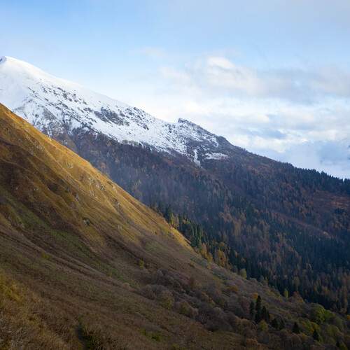 Photo #12834513