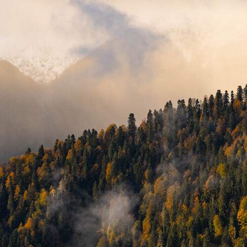 Photo #12834514