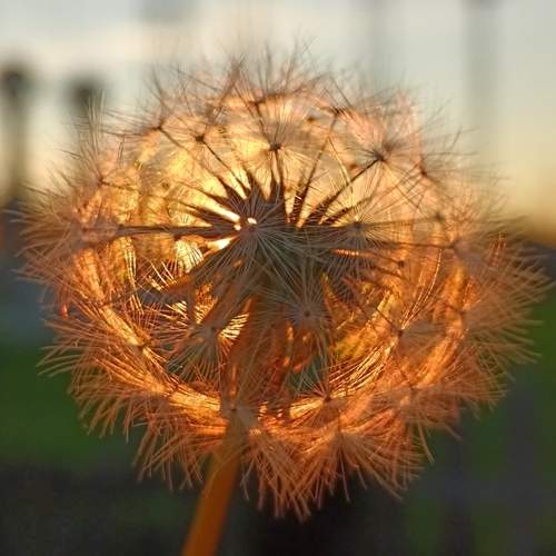 Photo #12834537